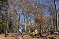 【登山口からハイライト】「アップダウンほとんどなし！」 山梨県の東端・大マテイ山の紅葉は今が見頃の画像013