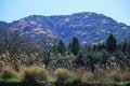 国東半島「山上のストーンサークル」に眠る神秘の力＜大分県・猪群山 前編＞【今日も山旅気分 vol.1】の画像002