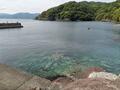 「絶対に釣れない」釣り下手ライター vs「絶対に釣れる」名所・福井県「音海半島」！  究極の「ホコタテ対決」の結末は？の画像009