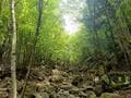 富士山と西湖を静かに堪能できる穴場コース！ 「西湖いやしの里 根場」から御坂山地「鬼ヶ岳・雪頭ヶ岳」周回ハイキング！  下山後は観光＆温泉でスッキリの画像005