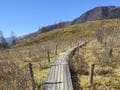 富士山がよすぎて足が止まる...だけじゃ済まない！「甘利山」＆「千頭星山」縦走ハイキングで出会った絶景の数々「レポート」【山梨県韮崎市／南アルプス市】の画像001