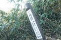 【登山】そこは、まるで天上の楽園！  “秋空を映す水鏡、黄金色の高層湿原になだらかに続く木道”  彩り鮮やかな原生林「苗場山」 長野県｜新潟県 2026年の画像005