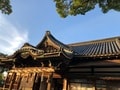 樹齢約800年！ 大迫力のクスノキ「百舌鳥八幡宮」夕暮れ時の美しさとゴルゴ13に背中を押され購入した千円の埴輪みくじの結果は！？【関西おみくじジャーニー vol.22／大阪府堺市】の画像002