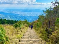 新東名高速道路「伊勢原大山IC～新秦野IC」開通！「驚異のアクセス短縮」でさらに近くなった丹沢で一番人気の「塔ノ岳」に登ろう！