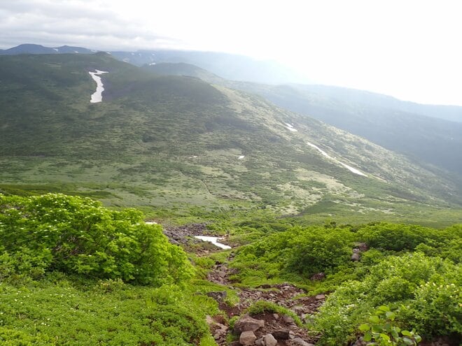 「北海道最長ルート」 大雪山・旭岳から十勝連峰・富良野岳までの縦走路の魅力！【踏破レポート】 北海道  2024年の画像015