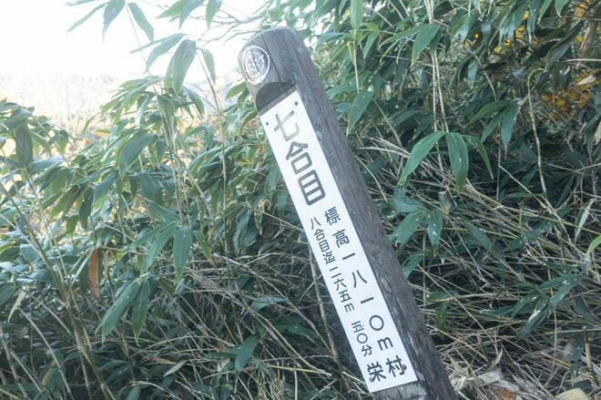 【登山】そこは、まるで天上の楽園！  “秋空を映す水鏡、黄金色の高層湿原になだらかに続く木道”  彩り鮮やかな原生林「苗場山」 長野県｜新潟県 2026年の画像005