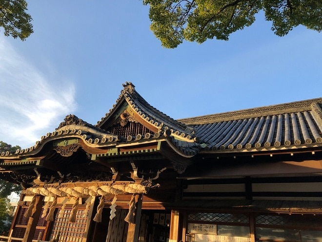 樹齢約800年！ 大迫力のクスノキ「百舌鳥八幡宮」夕暮れ時の美しさとゴルゴ13に背中を押され購入した千円の埴輪みくじの結果は！？【関西おみくじジャーニー vol.22／大阪府堺市】の画像002