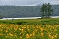 “まるっと楽しむ 尾瀬の山歩き” vol.3【新潟県 魚沼市】入山手段がドラマチック！  秘境へつなぐタイムトンネル「奥只見シルバーライン」を抜け、絶景湖上を走る「奥只見湖遊覧船」で行く尾瀬ルートの画像021