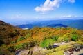 今週末の紅葉見るならどこ？ 名所＆人気スポットから最新情報をお届け「WEEKLY紅葉ニュース」【2023年10月第3週】の画像006