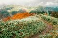 【日本百名山】感動しっぱなし！ 百聞は一見にしかず！ 紅葉の恵那山へ《長野県・岐阜県》2022年の画像004