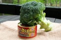 ブロッコリーとサバ缶はなぜ相性がいい？  栄養の「相乗効果」を期待できる理由【缶詰博士の缶たん”CAN”P料理 vol.89】の画像004
