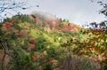 【日本百名山】感動しっぱなし！ 百聞は一見にしかず！ 紅葉の恵那山へ《長野県・岐阜県》2022年の画像003