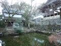 「登山ビギナー」卒業で挑む「低山の縦走」ハイキング！ 『太平記』ゆかり「光明寺」から「扇山・角尾山」JR利用「7km・3時間」コース【兵庫県加東市】の画像003