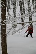 【ハイカー女子の一杯】2025年一発目の登山！  年末年始営業の北アルプス「燕山荘」へ（1杯目） 長野県・富山県の画像001