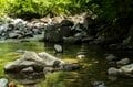 【渓流釣り】夏はいつまで続くの？  うだるような草いきれの先に「一投目から良型、続いて尺上イワナ！」 長野県・2025年の画像002