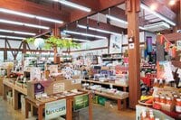 夏にも訪れたいアウトドアパラダイス！  長野県『HAKUBA VALLEY』 必ず立ち寄りたい村自慢の「道の駅」3選【白馬村・小川村・小谷村】