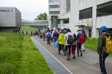 苗場スキー場の「タケノコ山」でタケノコ採り！ ＜新潟県
