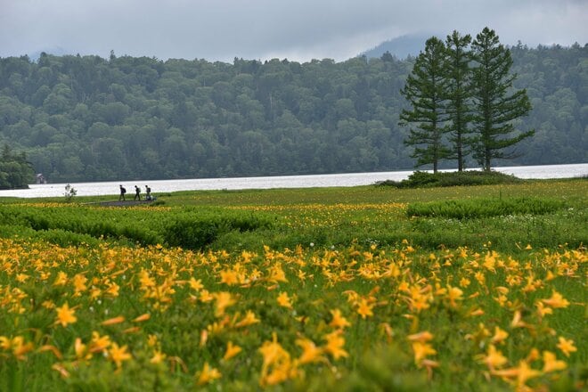 “まるっと楽しむ 尾瀬の山歩き” vol.3【新潟県 魚沼市】入山手段がドラマチック！  秘境へつなぐタイムトンネル「奥只見シルバーライン」を抜け、絶景湖上を走る「奥只見湖遊覧船」で行く尾瀬ルートの画像021