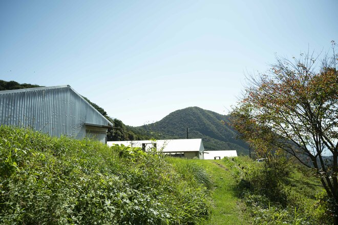 標高1,100mの農場で鶏を“平飼い”放牧！ 本当においしい卵は心身ともに健康で元気な鶏から産まれる！「やまなしアニマルウェルフェア認証制度」取材ルポ【山梨県 2022】の画像014