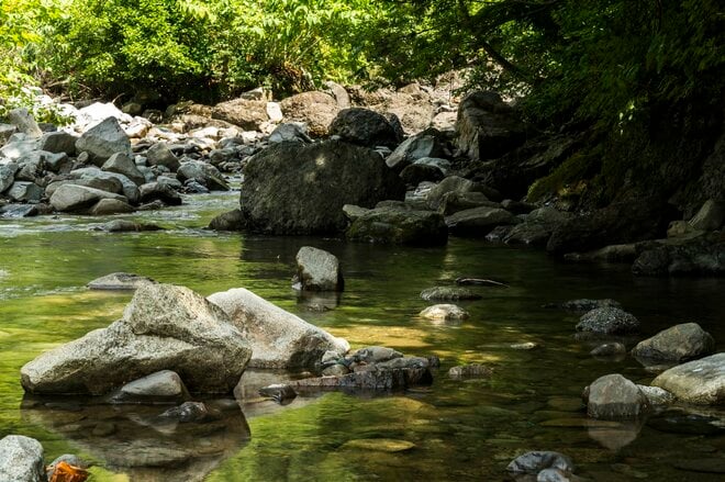 【渓流釣り】夏はいつまで続くの？  うだるような草いきれの先に「一投目から良型、続いて尺上イワナ！」 長野県・2025年の画像002