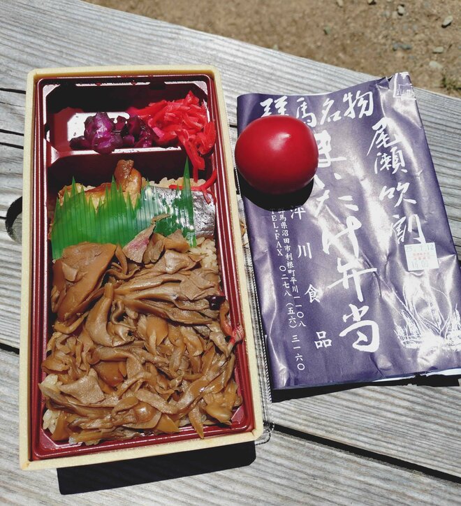 歴も技量もバラバラ！？  でも大丈夫！  ツアーバスで行く「楽ラク尾瀬散歩」は初めての山歩きに最適！！【双葉社 登山部 山行レポート vol.2】の画像004