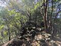 「鬼が橋かけに失敗」天邪鬼伝説の山！ 垂直「橋げた跡」石柱＆すり抜け困難「二枚岩」ほか 兵庫・笠形山の「天空登山」レポの画像001