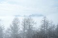 【日本百名山が36座も見える】大展望と霧氷が美しい「守屋山」雪中ハイキングの魅力の画像002