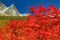 一度は訪れたい！ 豪華絢爛な山岳紅葉　涸沢カール〈長野県〉の画像005