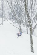 「白馬岩岳、コルチナ、白馬47」ほか、世界から注目される人気スポット目白押し！【ツリーランが滑れる全国スキー場ガイド vol.4  白馬・その他エリア 編】の画像001