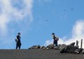 ＜標高3,000mオーバーにもいるんです！＞足元の昆虫を楽しむ「マクロな夏山トレッキング」のすすめ【キジ博士のナチュラリスト入門 vol.7】の画像006
