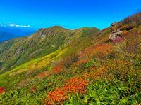 「三拍子」そろった日本百名山！  群馬・谷川岳での「絶景紅葉ハイキング」初心者でも「ロープウェイ使って山頂まで2時間半」