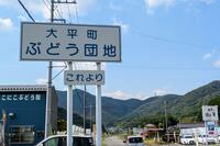 シャインマスカットや巨峰をキャンプで味わう贅沢！「大平ぶどう団地」現地4年通いライターの「注目スポット」＆「3つのメリット」レポート【栃木県栃木市大平町】