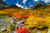 一度は訪れたい！ 豪華絢爛な山岳紅葉　涸沢カール〈長野県〉