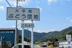 シャインマスカットや巨峰をキャンプで味わう贅沢！「大平ぶどう団地」現地4年通いライターの「注目スポット」＆「3つのメリット」レポート【栃木県栃木市大平町】