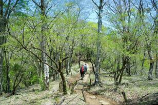 やってはいけない！  登山でのナメすぎ「汗・ムレ・虫」対策！  初心者のときの「3つの失敗」実体験レポ