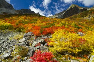 一度は訪れたい！ 豪華絢爛な山岳紅葉　涸沢カール〈長野県〉