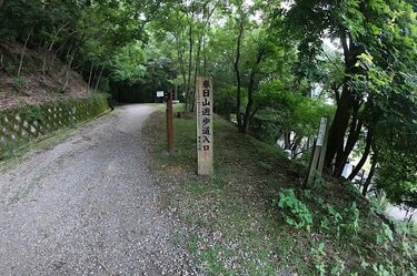 世界でも珍しい「市街地近くの太古の森！」1200年人の手が加わってない世界遺産「春日山原始林」を歩く奈良・『春日山遊歩道』の魅力とは？｜トラベル｜ニュース｜BRAVO  MOUNTAIN