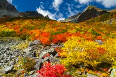 日本の山 : 豪華山岳写真集-