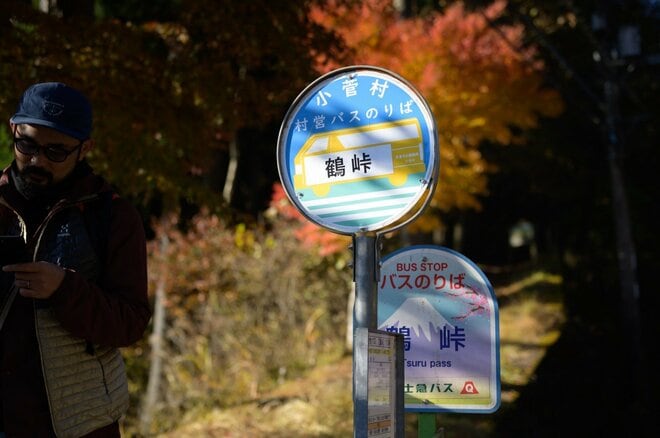 【ハイキング入門にもおすすめ】アップダウンはほとんどなし「大マテイ山の紅葉」はもうすぐ見頃の画像006