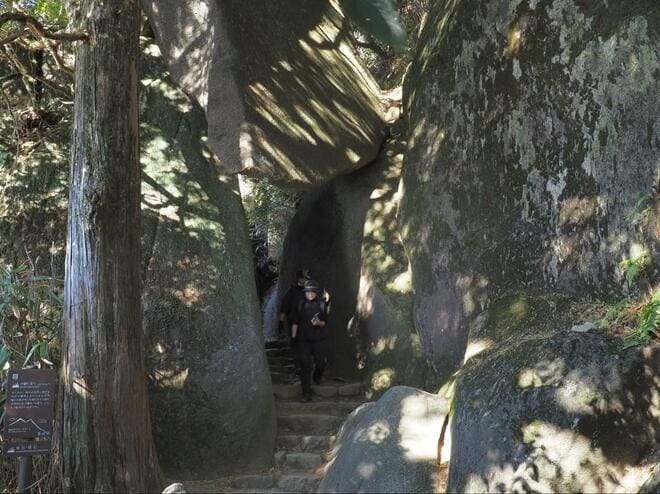 【もっと知りたい百名山「筑波山」】つくば道からアプローチ&男体山・女体山の絶景を楽しんだ後は、おたつ石・迎場コースで下山！の画像007