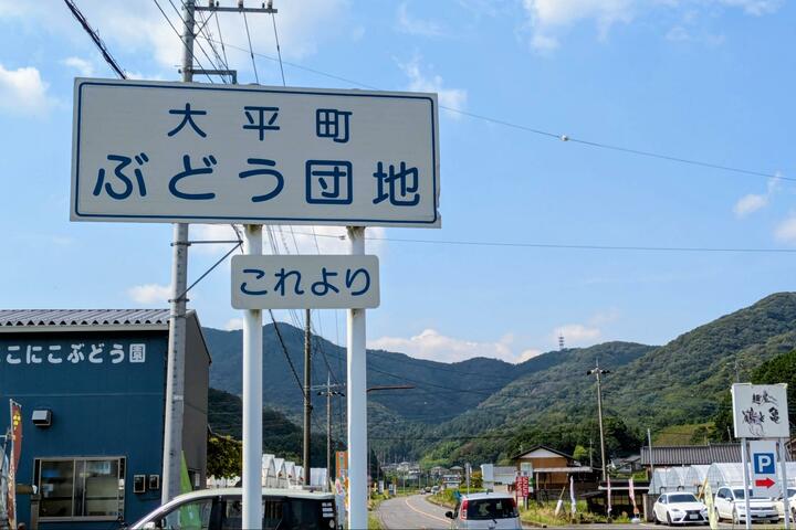 シャインマスカットや巨峰をキャンプで味わう贅沢！「大平ぶどう団地」現地4年通いライターの「注目スポット」＆「3つのメリット」レポート【栃木県栃木市大平町】 