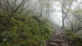 西日本最高峰にロープウェイで登る！「1300年の歴史」日本七霊山の愛媛「石鎚山」の底知れない魅力の画像002