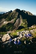 【百高山】“逆さ槍ヶ岳” を撮りたくて、北アルプス「南岳」を目指す！  最高の稜線歩き！  私の夏休み登山ルポ 〈長野県・岐阜県〉 2024年の画像006
