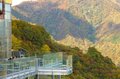 今週末の紅葉見るならどこ？ 名所＆人気スポットから最新情報をお届け「WEEKLY紅葉ニュース」【2023年10月第4週】の画像005