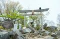 【百名山】新緑と各種ツツジが見頃の “赤城山” で周回縦走！ 「印象に残ったのは立派なカラス」 群馬県｜2026年の画像010