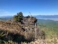 標高2,000ｍ超の天空ハイキング！  日本百名山「美ヶ原」 約3時間半で周回「起伏緩やか＆高原歩き」絶景コースの画像008