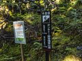冬がはじまるよ！ 「雌阿寒岳」神秘の原生林を抜けて登った先に待つ絶景とは（2021年10月24日）＜北海道＞の画像004