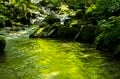 【渓流釣り】盛夏、ベスコンになった飛騨の渓へ 「蜘蛛の巣だらけだけど、尺イワナが連発！」 岐阜県・2025年の画像001