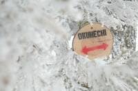 耕して焙煎して走る男