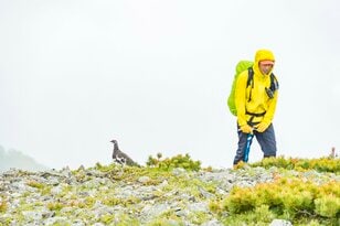 ライチョウ観察は登山道沿いがベスト！ 白馬乗鞍岳・小蓮華山のライチョウ調査へ＜長野県＞